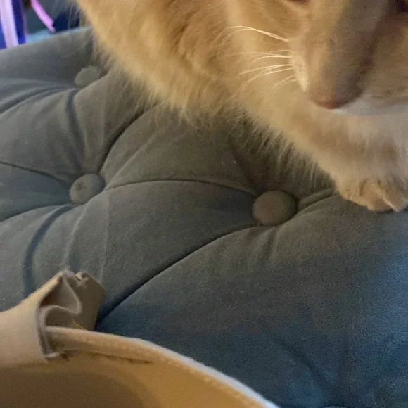 Soma, stunning support, strapless, convertible bra - Picture 4 of 9